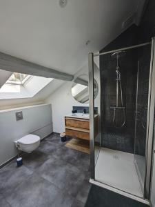a bathroom with a shower and a toilet and a sink at Appartement de charme à Amboise face à la Loire in Amboise