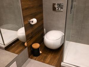 Kúpeľňa v ubytovaní Apartament Silver - Stara Polana Spa