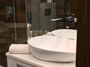 Kúpeľňa v ubytovaní Apartament Silver - Stara Polana Spa