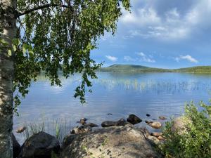 a view of a lake with a tree and rocks at Family-friendly countryside house close to lake in Skärås +15 photos