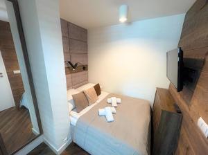 Posteľ alebo postele v izbe v ubytovaní Apartament Silver - Stara Polana Spa