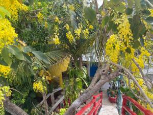 Zahrada ubytování Maison Tulum