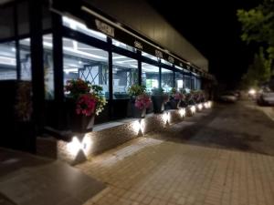 Zahrada ubytování Hotel Kerchova - Kichevo