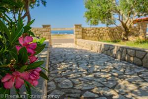 a stone walkway with pink flowers in a bush at Rajka in Kustići