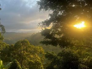 a view of a valley with the sun shining through trees at Royal Mount Ella in Ella