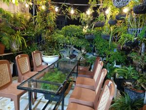 Zahrada ubytování NHÀ NGUYÊN CĂN VŨNG TÀU DUNGVINH'S HOME