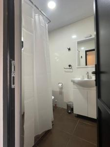 łazienka z zasłoną prysznicową i umywalką w obiekcie Hotel Echoes w mieście Stepancminda +30 zdjęć
