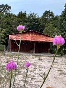Zahrada ubytování Chacara Refugio das Babaçus