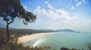 a view of a beach with a tree and the ocean at The Bay Agonda in Agonda