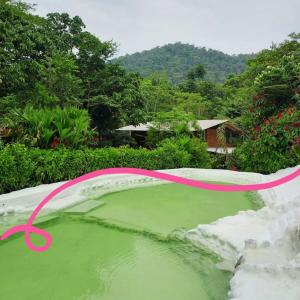 a pool of green water with a pink ribbon in it at Pungara Eco-Lodge in Tena