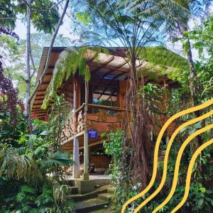 a house with a yellow bench in front of it at Pungara Eco-Lodge in Tena +58 photos