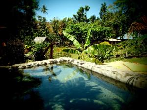 a swimming pool in a garden with trees at Nypa Style Resort Camiguin in Mambajao