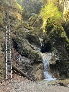 Příroda nedaleko apartmánu + 12 fotografií