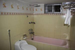 a bathroom with a pink tub and a toilet at The Air Inn Uttara in Dhaka +19 photos