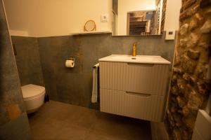 a bathroom with a sink and a toilet at De Schroer in Wahlwiller