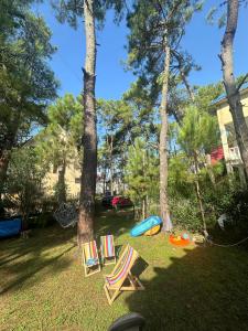 a group of lawn chairs and a surfboard in a yard at Villa Ultima Grigoleti in Lanch'khut'i