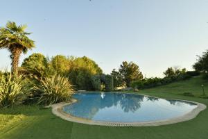 a swimming pool in a garden with a palm tree at Spacious 4 bedroom Luxury Villa with Lush Gardens Close to City & Beach in Alexandroupoli