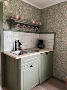 蒙克达尔Olletorp的带水槽和台面的厨房