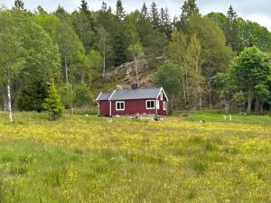 a red barn in a field of flowers at Olletorp in Munkedal