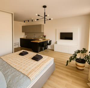 Kuchyňa alebo kuchynka v ubytovaní Kayak Apartment