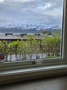 Peisaj natural din apropierea acestui apartament