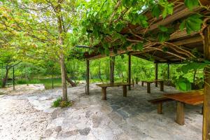 a group of benches sitting under a tree at Apartment Green view in Slime