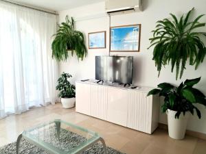 TV a/nebo společenská místnost v ubytování Apartment Eva