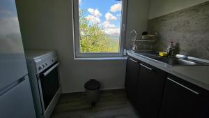 a kitchen with a sink and a window at Apartman Kušići in Vedići