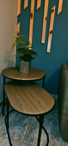 Gallery image of Alora House 2 in Kefalos +28 photos