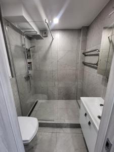 a bathroom with a shower and a toilet and a sink at Evas lux apartment in Jūrmala +4 photos
