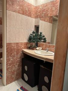 Koupelna v ubytování Mini suite