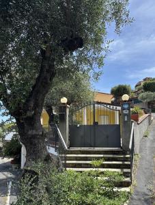 A garden outside Villa Jone
