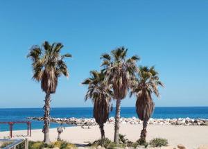 a group of palm trees on a beach at Garrucha Calma y Luz in Garrucha