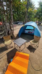 Gallery image of sebrotan camp area pantai madasari in Madasari