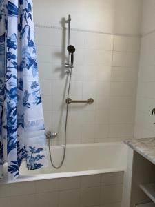 a bathroom with a shower with a blue and white shower curtain at Maison Antibes in Antibes +13 photos