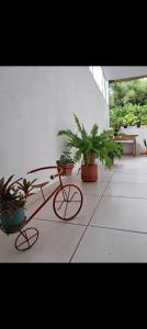a patio with potted plants and a table and a bike at Canto Mineiro in Tiradentes +28 photos