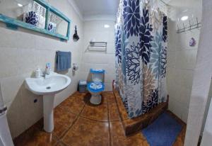 een badkamer met een wastafel en een toilet bij MatSofy_Apartamento in Santiago +15 foto's