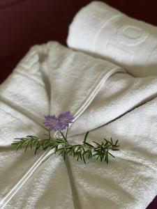 Billede fra billedgalleriet på Apartments Porto Belvedere i Kravlja