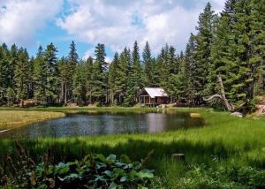 a small pond with a cabin in the middle of a field at Apartmani sara in Plav