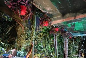 Zahrada ubytování The Green View Homestay Siliguri in