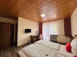 TV a/nebo společenská místnost v ubytování Pension Hubertus