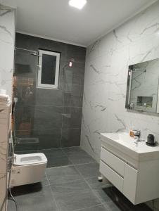 a bathroom with a toilet and a sink and a shower at Villa Majida Ilidža in Sarajevo +24 photos