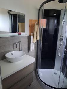 a bathroom with a sink and a shower at La Maison du Bonheur in Lahosse +12 photos