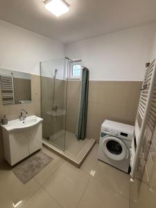 een badkamer met wastafel en wasmachine bij AeroStay Otopeni in Otopeni