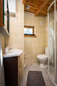 a bathroom with a sink and a toilet and a window at Domek na Skarpie nr 2 Łutynowo in Łutynowo