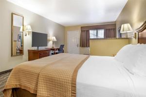 Voodi või voodid majutusasutuse Best Western Inn of Chandler toas