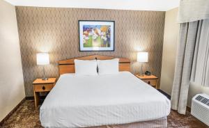 Postel nebo postele na pokoji v ubytování Crystal Inn Hotel & Suites - West Valley City