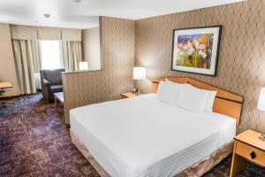 Postel nebo postele na pokoji v ubytování Crystal Inn Hotel & Suites - West Valley City