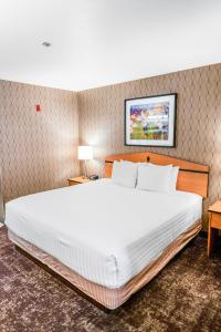 Postel nebo postele na pokoji v ubytování Crystal Inn Hotel & Suites - West Valley City