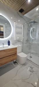 a bathroom with a sink and a toilet and a shower at Suites recién reformadas Vista Alegre in Madrid